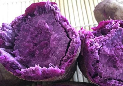 紫薯蒸多长时间才能熟 吃了会胖吗